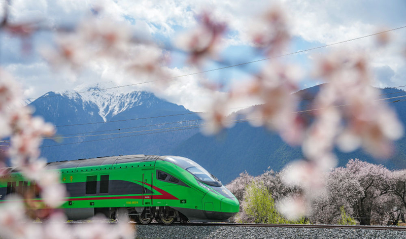 2025年4月2日，復(fù)興號(hào)列車穿行在拉林鐵路林芝段。